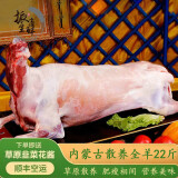 井親【活羊现杀】内蒙古草原苏尼特散养全羊 整只新鲜白条羊 烤全羊 苏尼特【整羊】22斤
